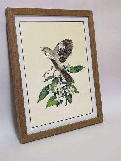 Mockingbird Florida State Bird Handmade Painting Art Solid Wood Framed Poster Picture Print Artwork