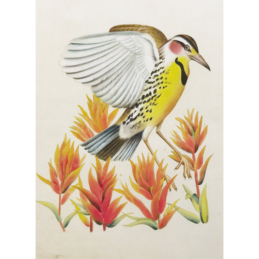 Wyoming Western Meadowlark Hand-painted Art Print - Premium MATT Paper, Natural Wood Frame, Wall & Tabletop Décor, Multiple Sizes & Colors