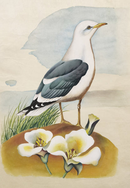 Common American Gull State Bird Handmade Art Printing Utah Sego Lily with Wood Frame