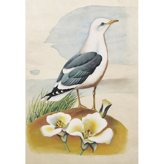 Utah California Gull Hand-painted Art Print - Premium MATT Paper, Natural Wood Frame, Wall & Tabletop Décor, Multiple Sizes & Colors