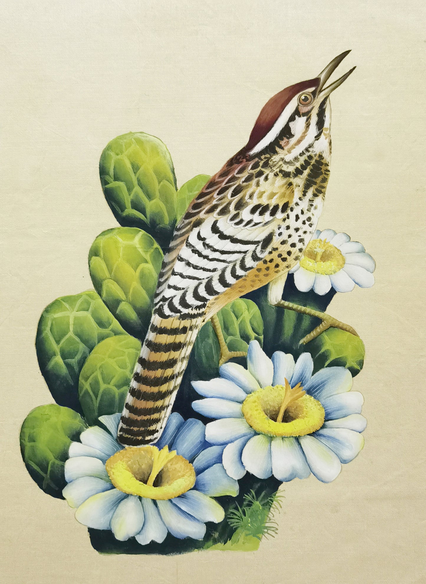 Póster enmarcado con imagen impresa, pintura hecha a mano, pájaro del estado de Arizona, cactus wren - Envío gratuito