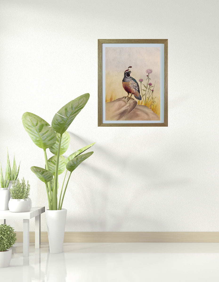 Callipepla California State Bird Handmade Painting Art Solid Wood Framed Poster Picture Print Artwork