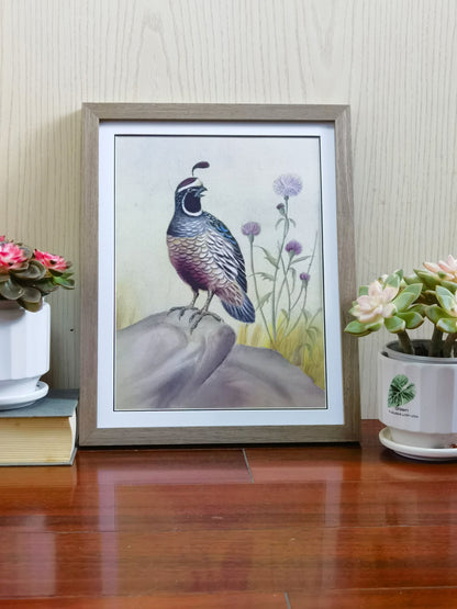 Callipepla California State Bird Handmade Painting Art Solid Wood Framed Poster Picture Print Artwork