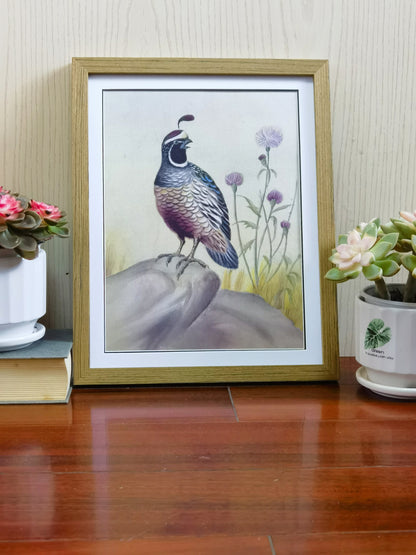 Callipepla California State Bird Handmade Painting Art Solid Wood Framed Poster Picture Print Artwork