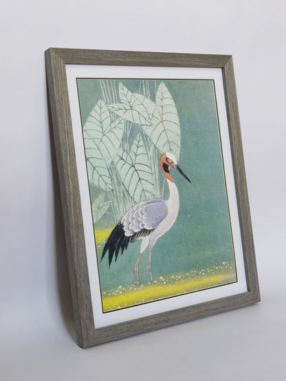 Red-Necked Cormorant Bird Landscape Handmade Painting Art Solid Wood Framed Poster Picture Print Artwork