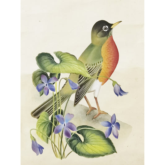Wisconsin American Robin Hand-painted Art Print - Premium MATT Paper, Natural Wood Frame, Multiple Sizes & Colors, Wall & Tabletop Décor