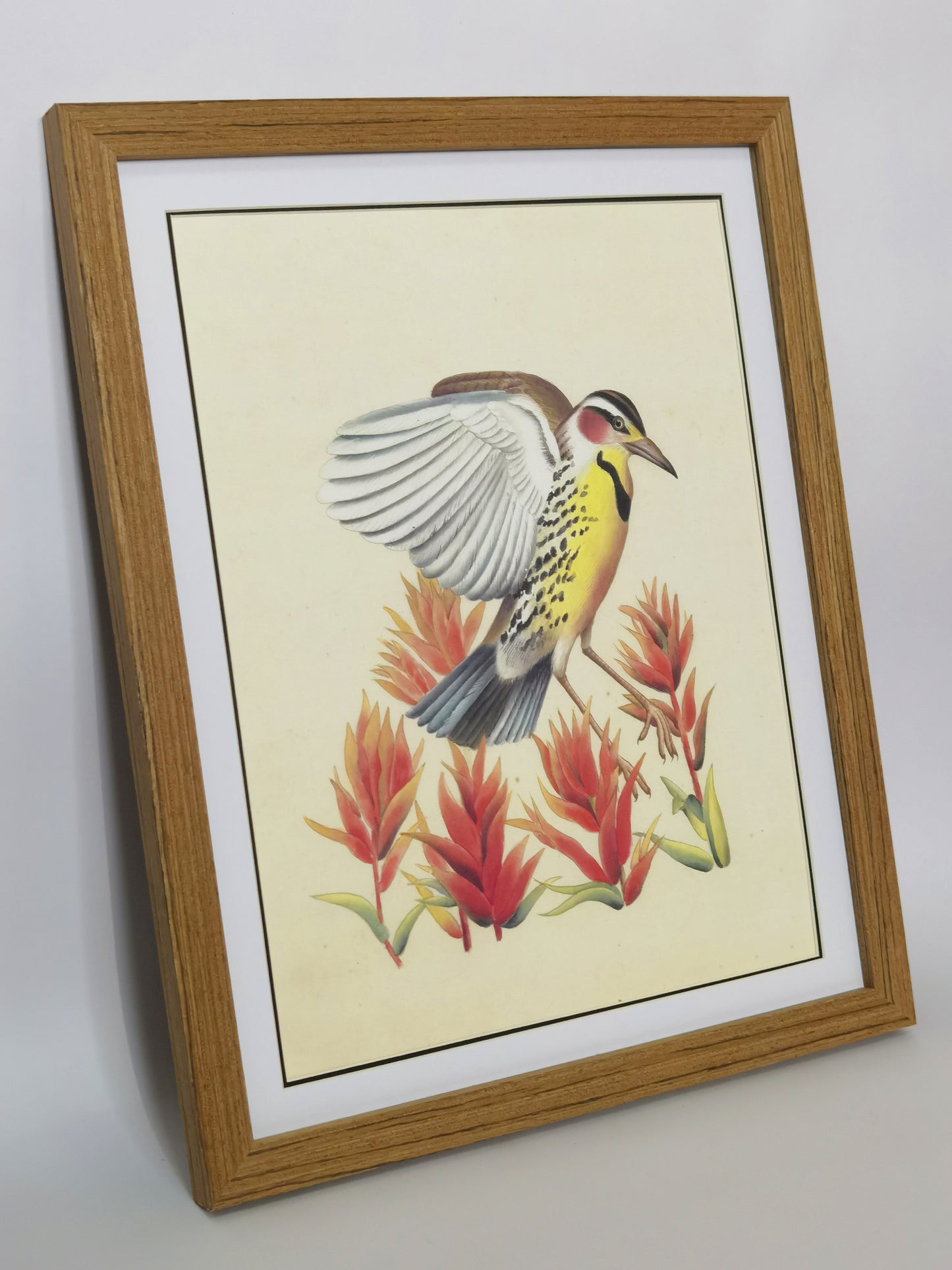 Western Meadowlark Wyoming State Bird Handgemachtes Gemälde Kunst gerahmt Poster Bild Druck Kunstwerk - Kostenloser Versand