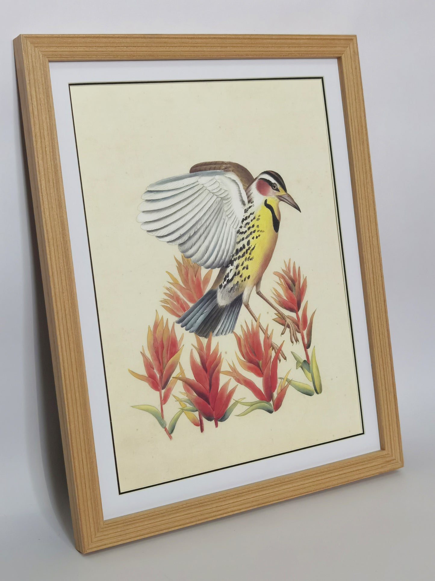 Western Meadowlark Wyoming State Bird Handgemachtes Gemälde Kunst gerahmt Poster Bild Druck Kunstwerk - Kostenloser Versand