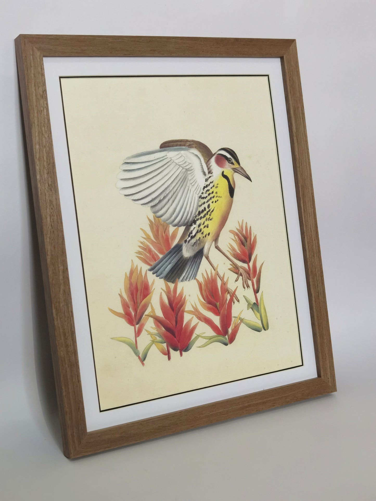 Western Meadowlark Wyoming State Bird Handgemachtes Gemälde Kunst gerahmt Poster Bild Druck Kunstwerk - Kostenloser Versand