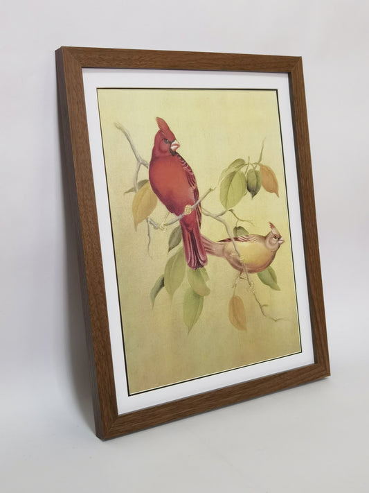 Cardinal American Bird Handmade Painting Art Solid Wood Framed Poster Picture Print Artwork - Free Shipping