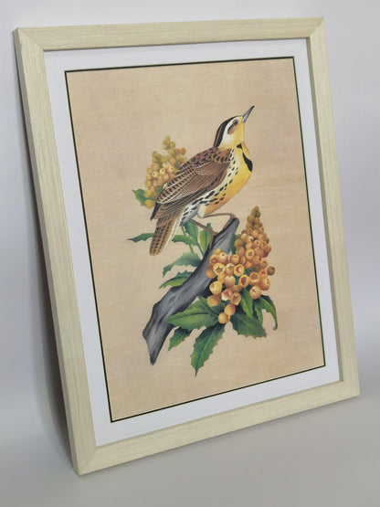 Western Meadowlark Oregon South Dakota Bird Handmade Painting Art Solid Wood Framed Poster Picture Print Artwork