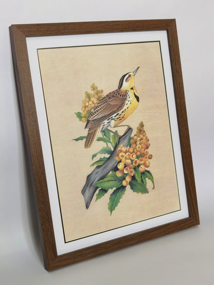 Western Meadowlark Oregon South Dakota Bird Handmade Painting Art Solid Wood Framed Poster Picture Print Artwork