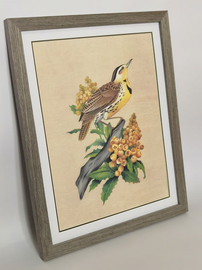 Western Meadowlark Oregon South Dakota Bird Handmade Painting Art Solid Wood Framed Poster Picture Print Artwork