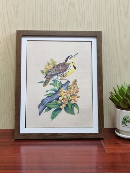 Western Meadowlark Oregon South Dakota Bird Handmade Painting Art Solid Wood Framed Poster Picture Print Artwork