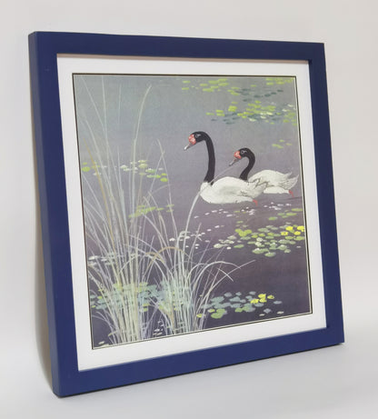 Black-Necked Swan Landscape Handmade Painting Art Solid Wood Framed Poster Picture Print Artwork