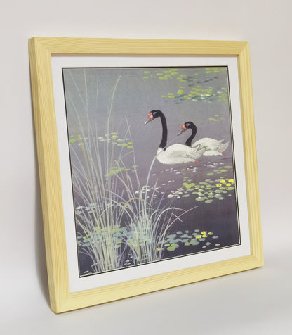 Black-Necked Swan Landscape Handmade Painting Art Solid Wood Framed Poster Picture Print Artwork