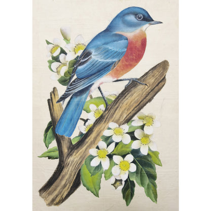 Eastern Bluebird Missouri State Bird Handmade Painting Art Solid Wood Framed Poster Picture Print Artwork