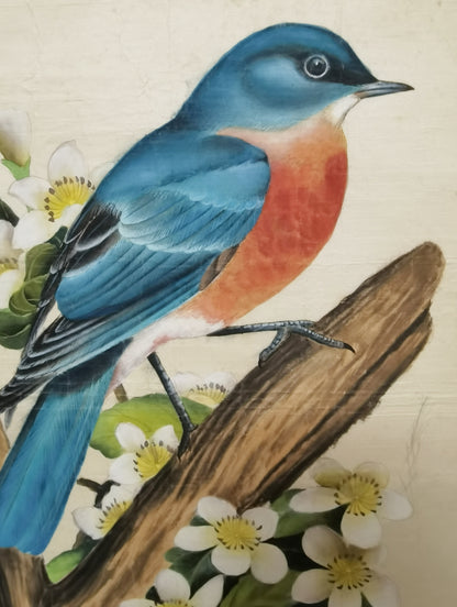 Eastern BlueBird State Bird Handmade Art Printing Missouri White Hawthorn Blossom with Wood Frame