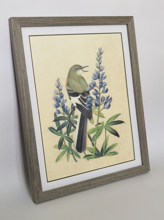 Mockingbird Texas State Bird Handmade Painting Art Solid Wood Framed Poster Picture Print Artwork - Free Shipping