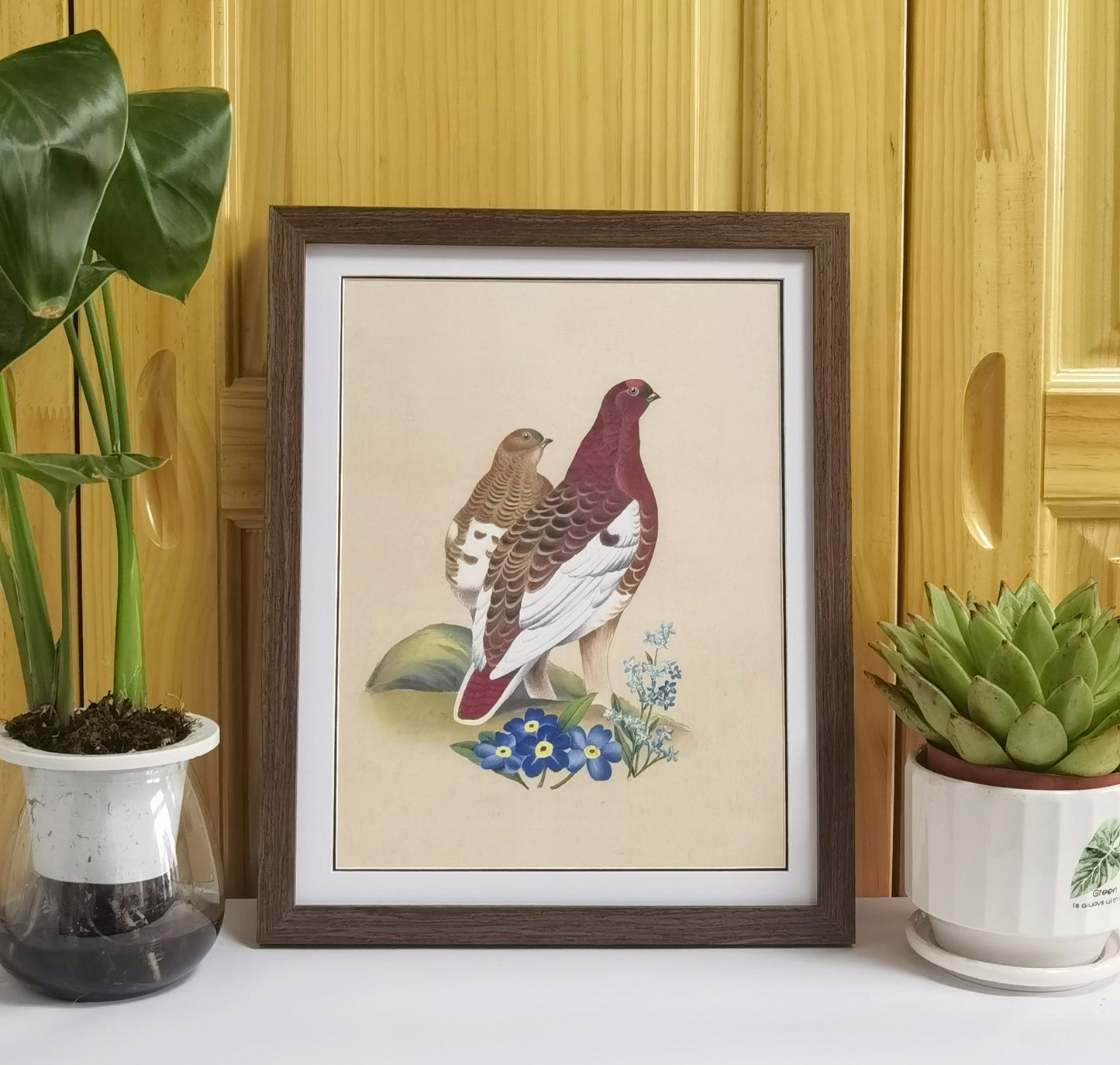 Willow Ptarmigan Alaska State Bird Handmade Painting Art Solid Wood Framed Poster Picture Print Artwork - Free Shipping