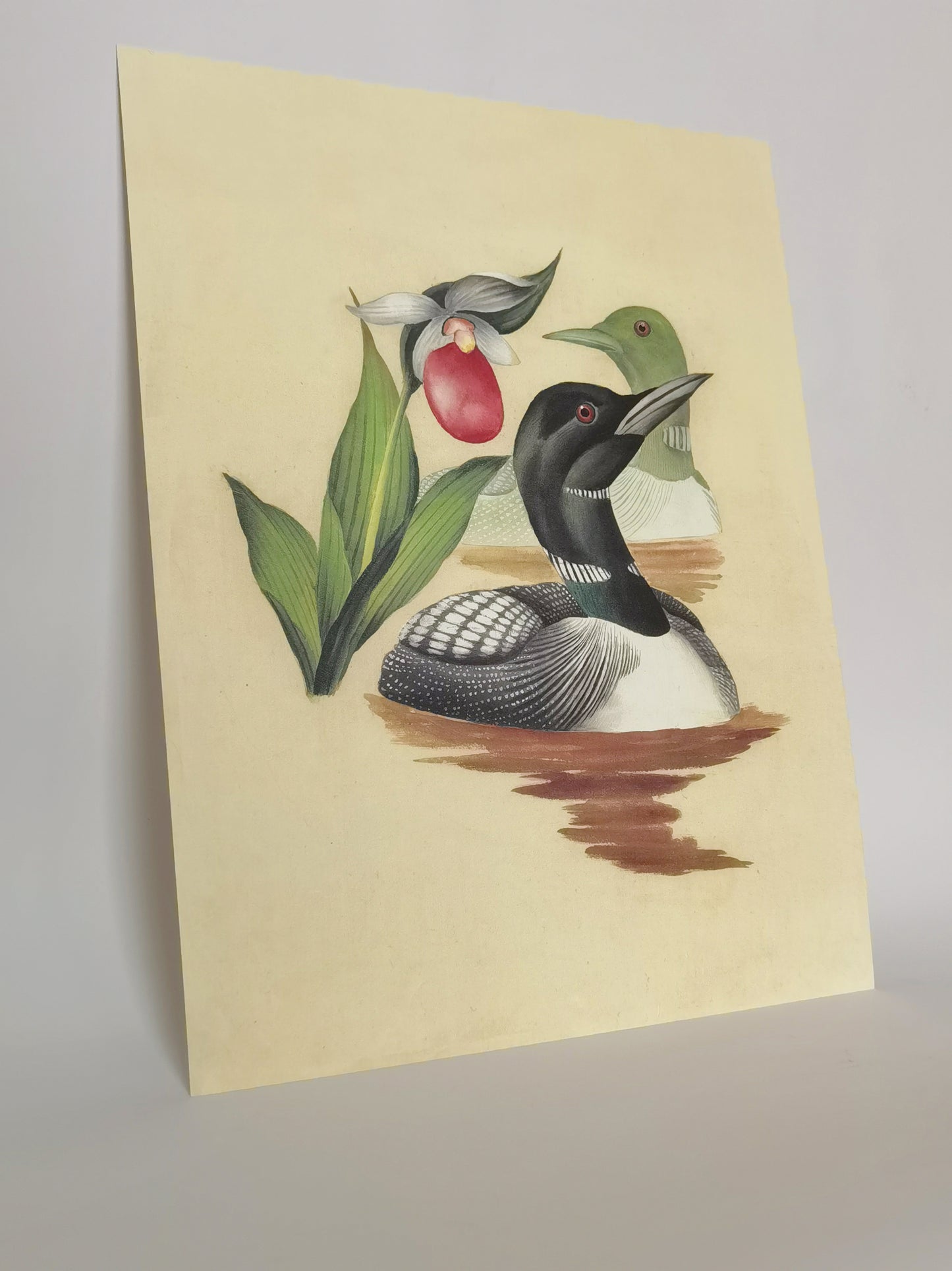 Eistaucher Minnesota Staatsvogel Handgemachtes Gemälde Kunst Gerahmtes Poster Bild Druck Kunstwerk - Kostenloser Versand