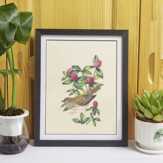 Vermont Hermit Thrush Hand-painted Art Print - Premium MATT Paper, Natural Wood Frame, Wall & Tabletop Décor, Multiple Sizes & Colors
