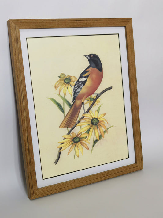 Baltimore Orioles Maryland State Bird Handmade Painting Art Framed Poster Picture Print Artwork - Free Shipping