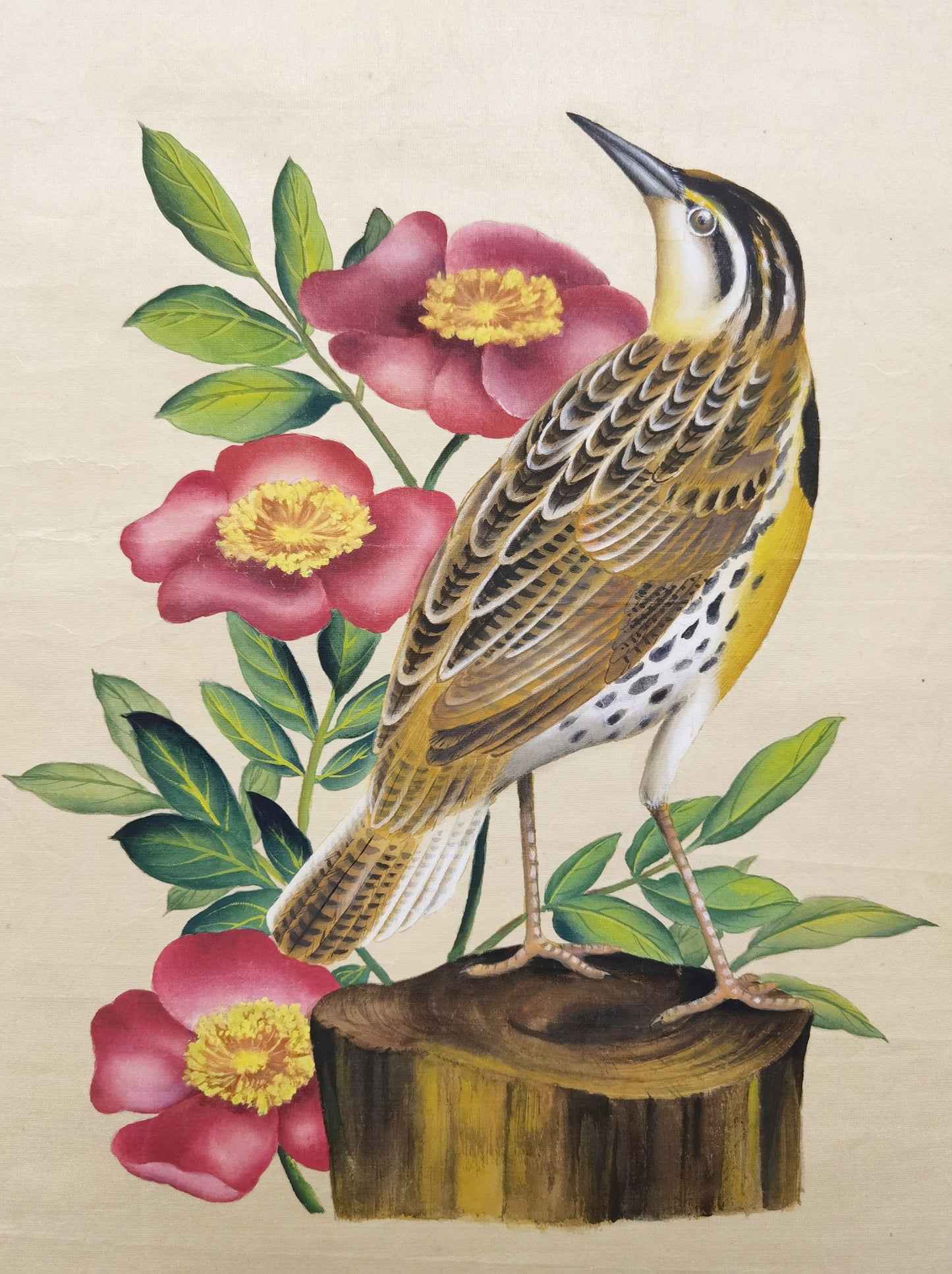 Western MeadowLark State Bird Handmade Art Printing North Dakota Wild Prairie Rose with Wood Frame