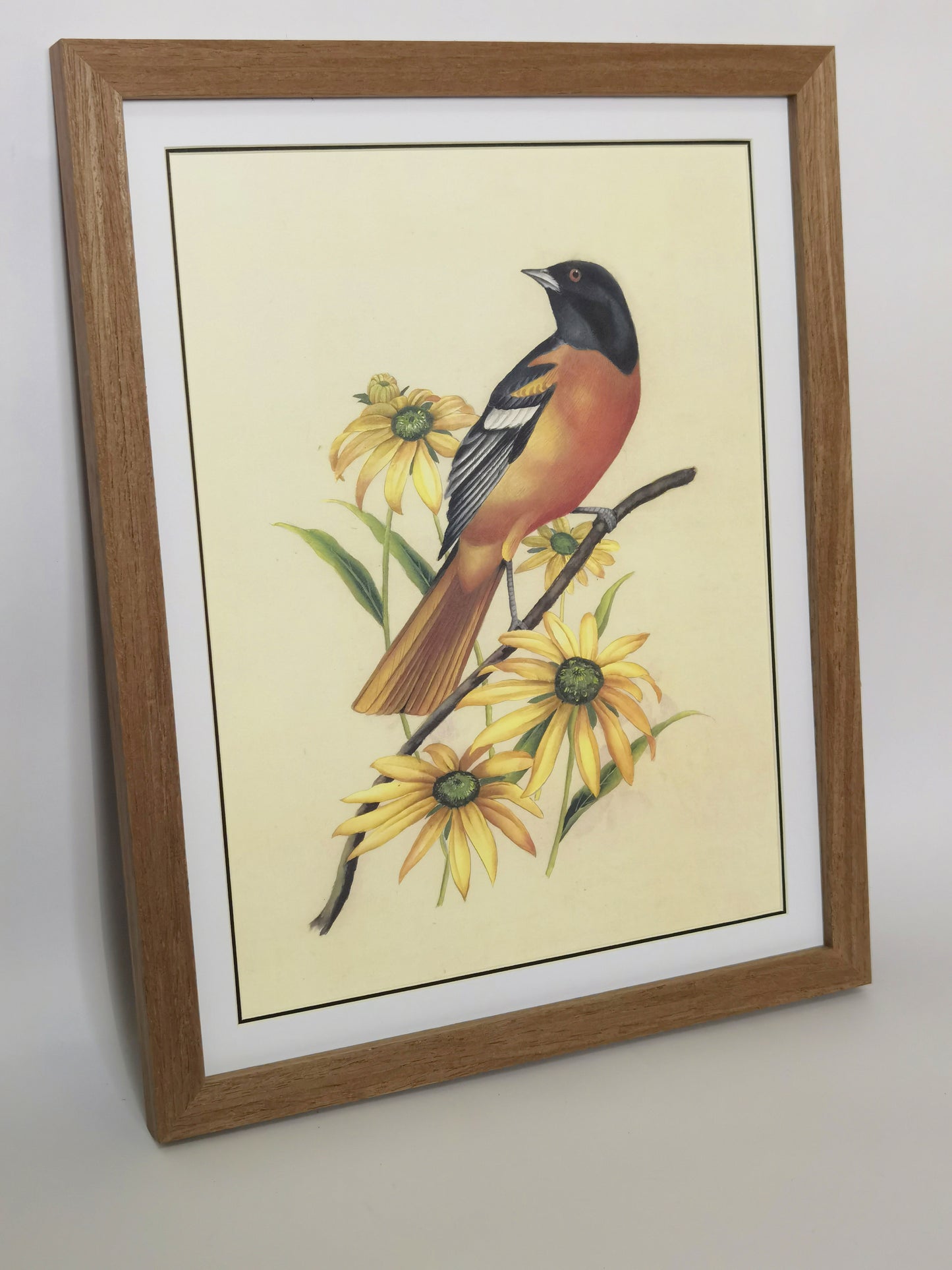 Baltimore Orioles Maryland State Bird Handmade Painting Art Solid Wood Framed Poster Picture Print Artwork - Free Shipping