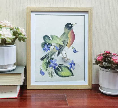 Robin Wisconsin State Bird Handmade Painting Art Solid Wood Framed Poster Picture Print Artwork