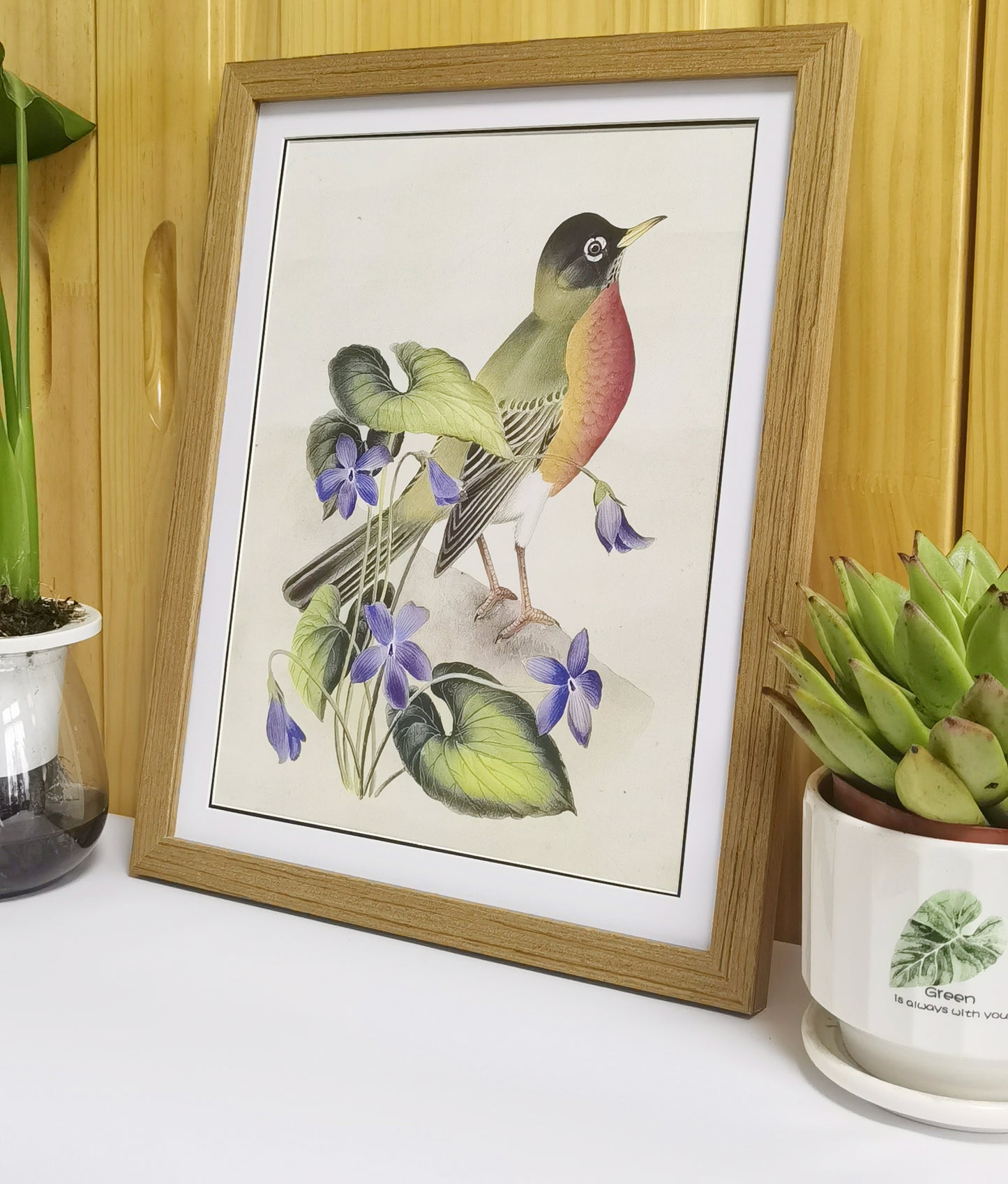 Robin Wisconsin State Bird Handmade Painting Art Solid Wood Framed Poster Picture Print Artwork