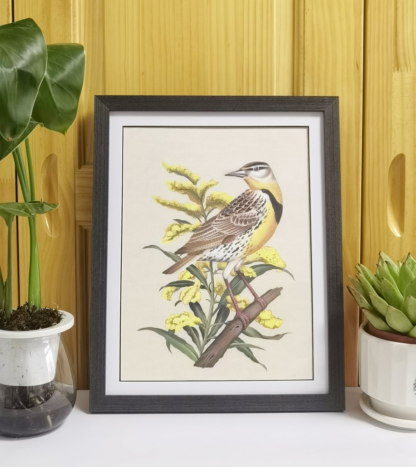 Meadowlark Nebraska State Bird Handmade Painting Art Solid Wood Framed Poster Picture Print Artwork - Free Shipping