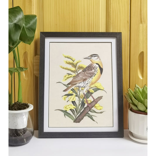 Nebraska Western Meadowlark Hand-painted Art Print - Premium MATT Paper, Natural Wood Frame, Wall & Tabletop Décor, Multiple Sizes & Colors