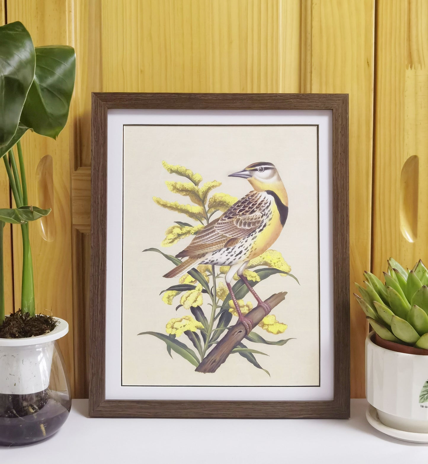 Meadowlark Nebraska State Bird Handmade Painting Art Solid Wood Framed Poster Picture Print Artwork - Free Shipping