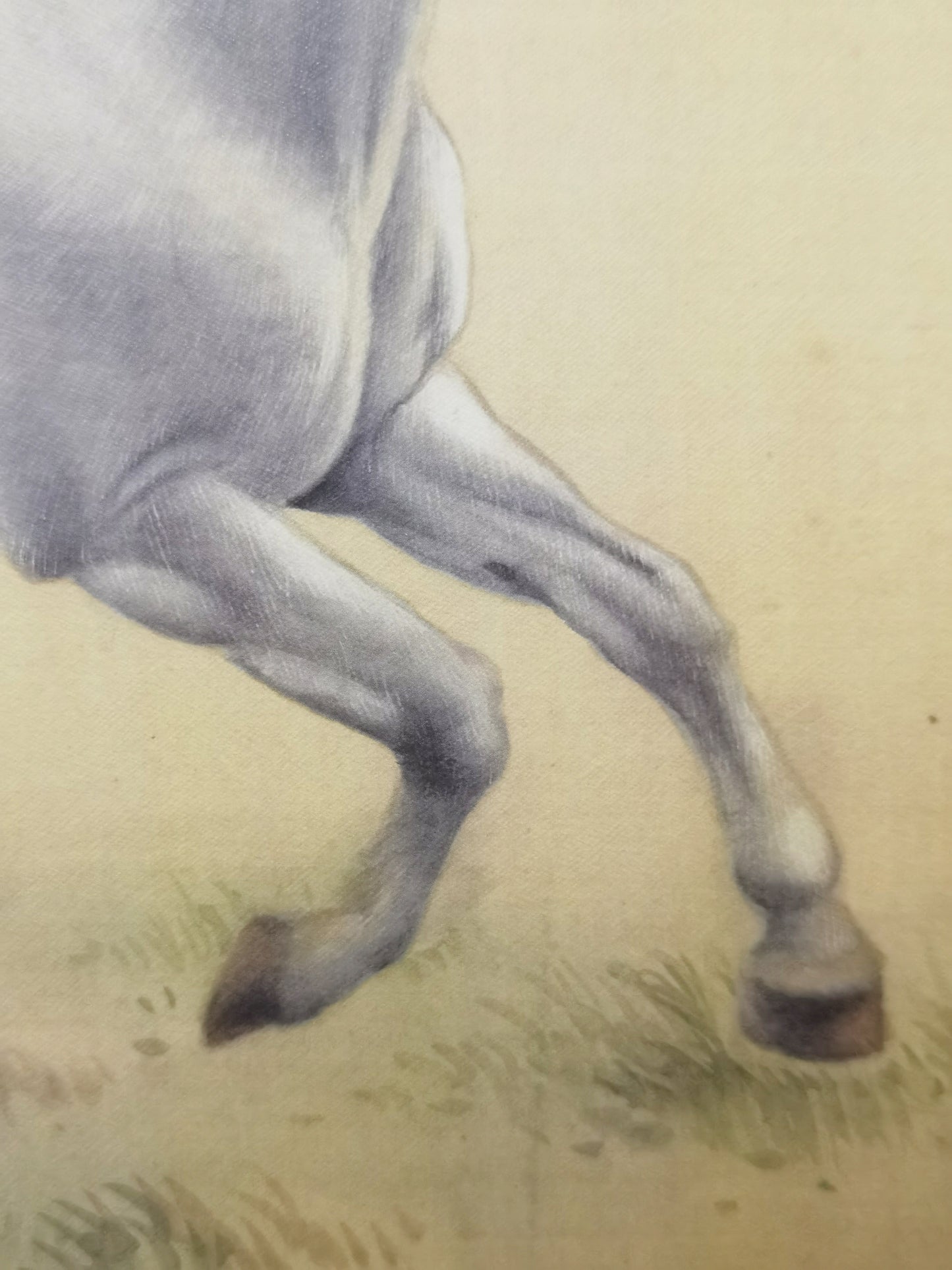 Cuadro artístico hecho a mano con diseño de caballo blanco, póster enmarcado, imagen impresa, obra de arte - Envío gratuito