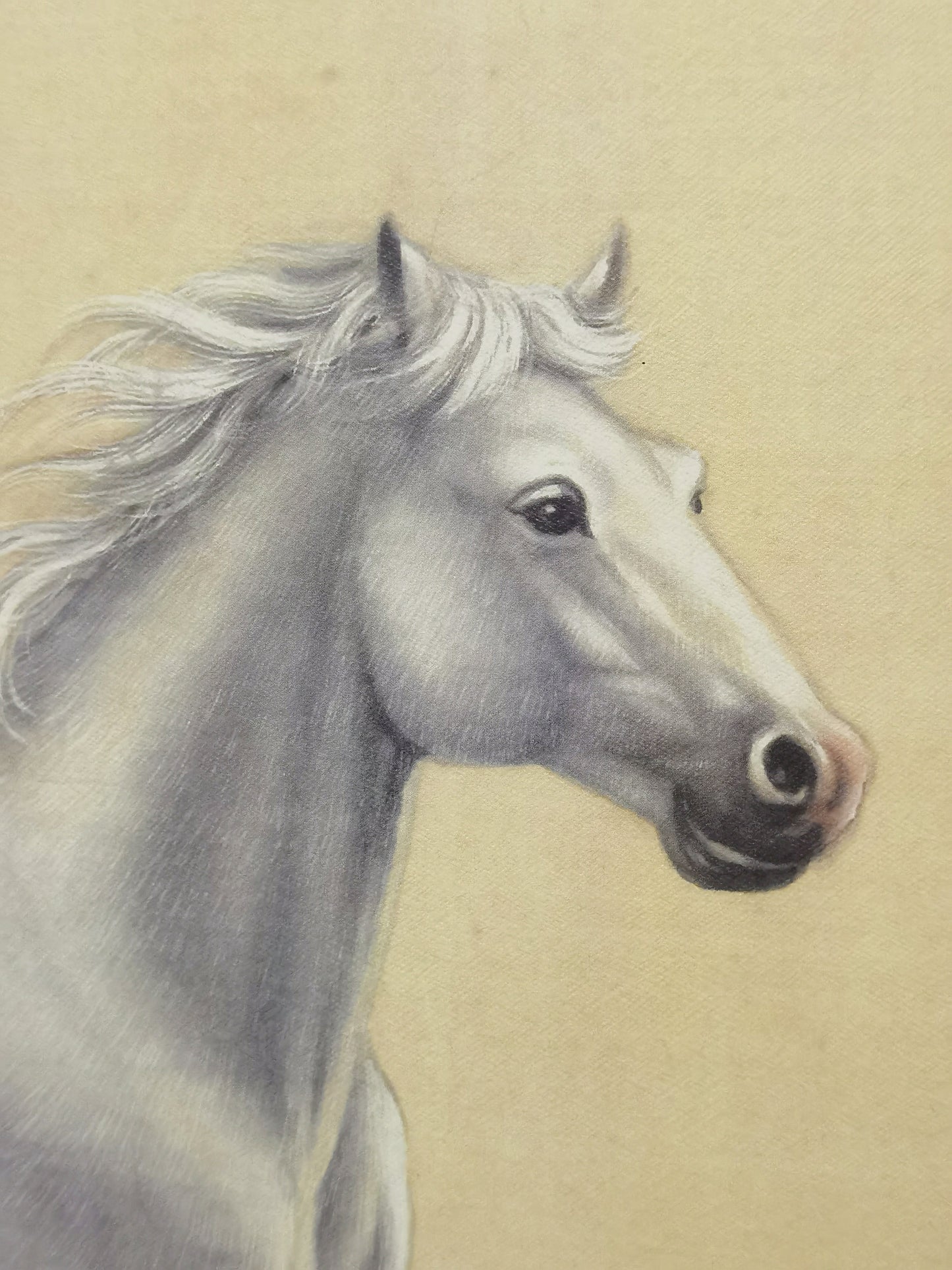 Cuadro artístico hecho a mano con diseño de caballo blanco, póster enmarcado, imagen impresa, obra de arte - Envío gratuito