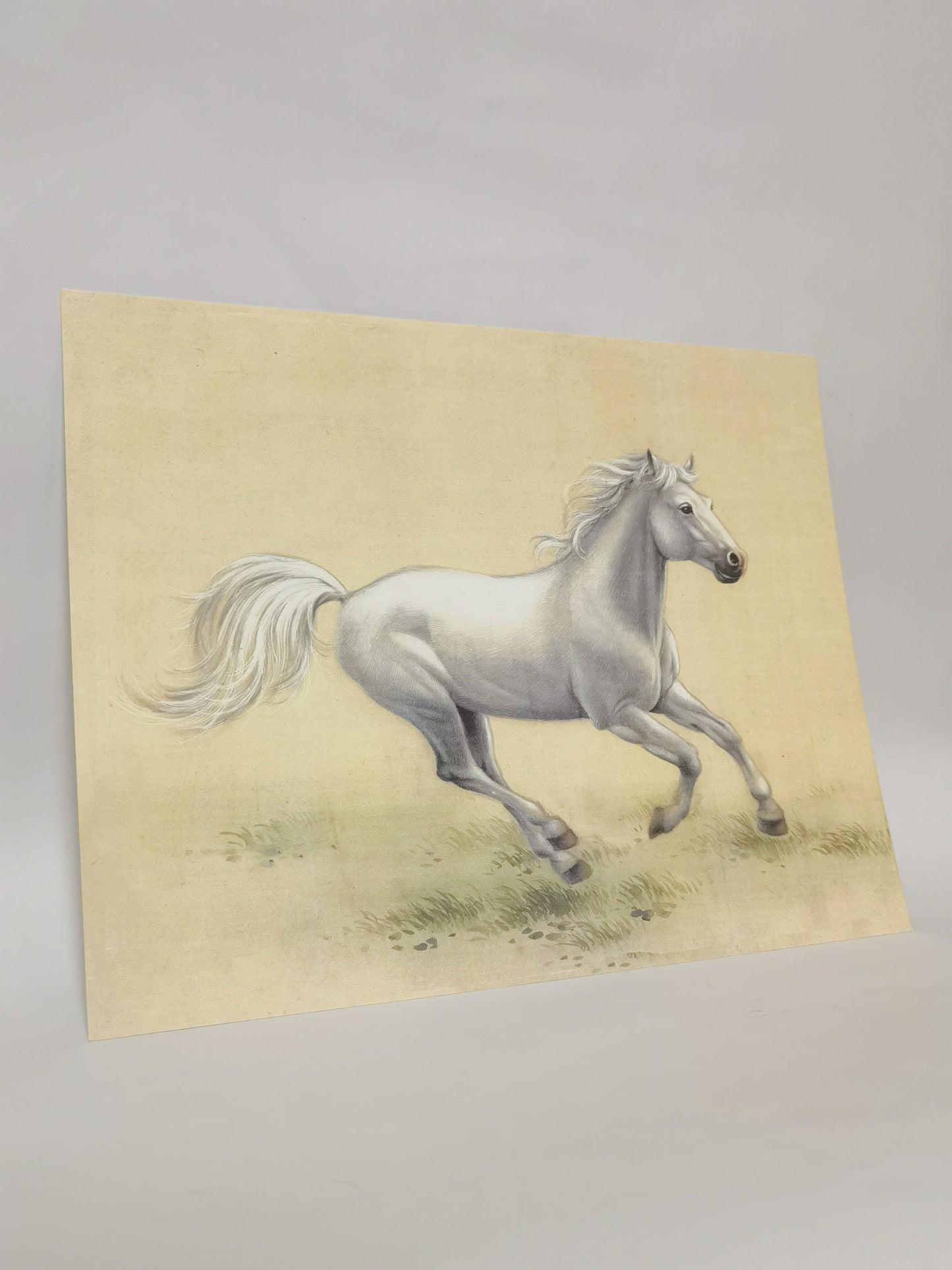 Cuadro artístico hecho a mano con diseño de caballo blanco, póster enmarcado, imagen impresa, obra de arte - Envío gratuito