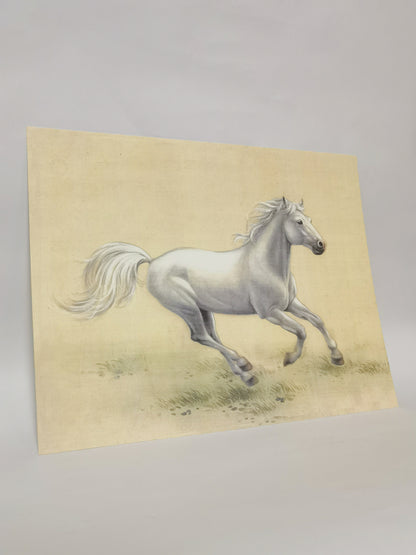 White Horse Handmade Painting Art Solid Wood Framed Poster Picture Print Artwork