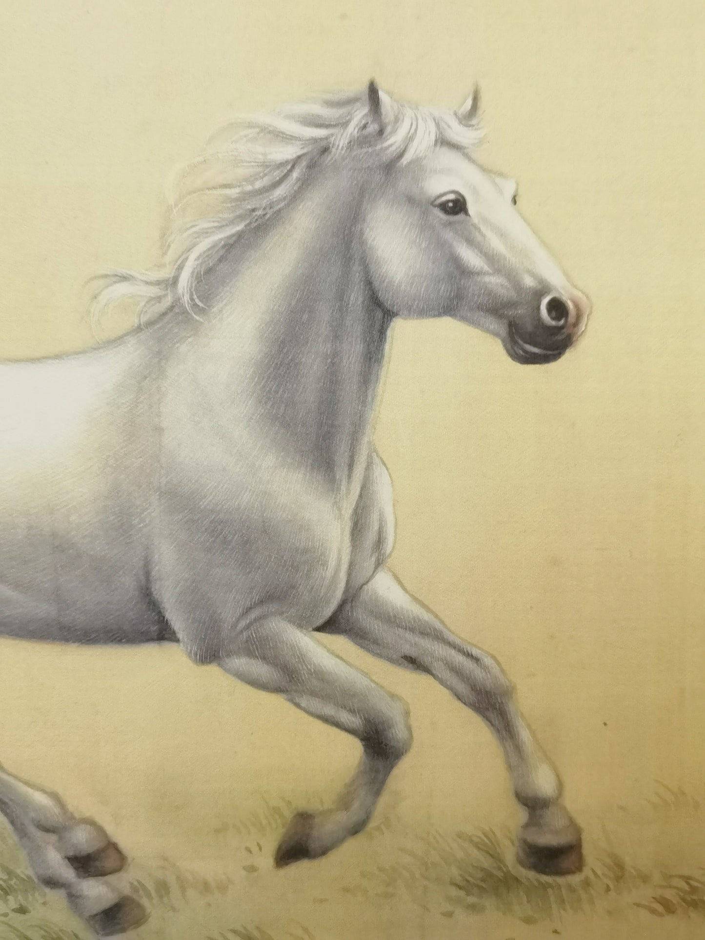 Cuadro artístico hecho a mano con diseño de caballo blanco, póster enmarcado, imagen impresa, obra de arte - Envío gratuito