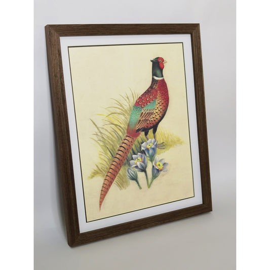South Dakota Ring-necked Pheasant Hand-painted Art Print - Premium MATT Paper, Natural Wood Frame, Wall & Tabletop Décor, Multiple Sizes & Colors for Home, Office & Gifts