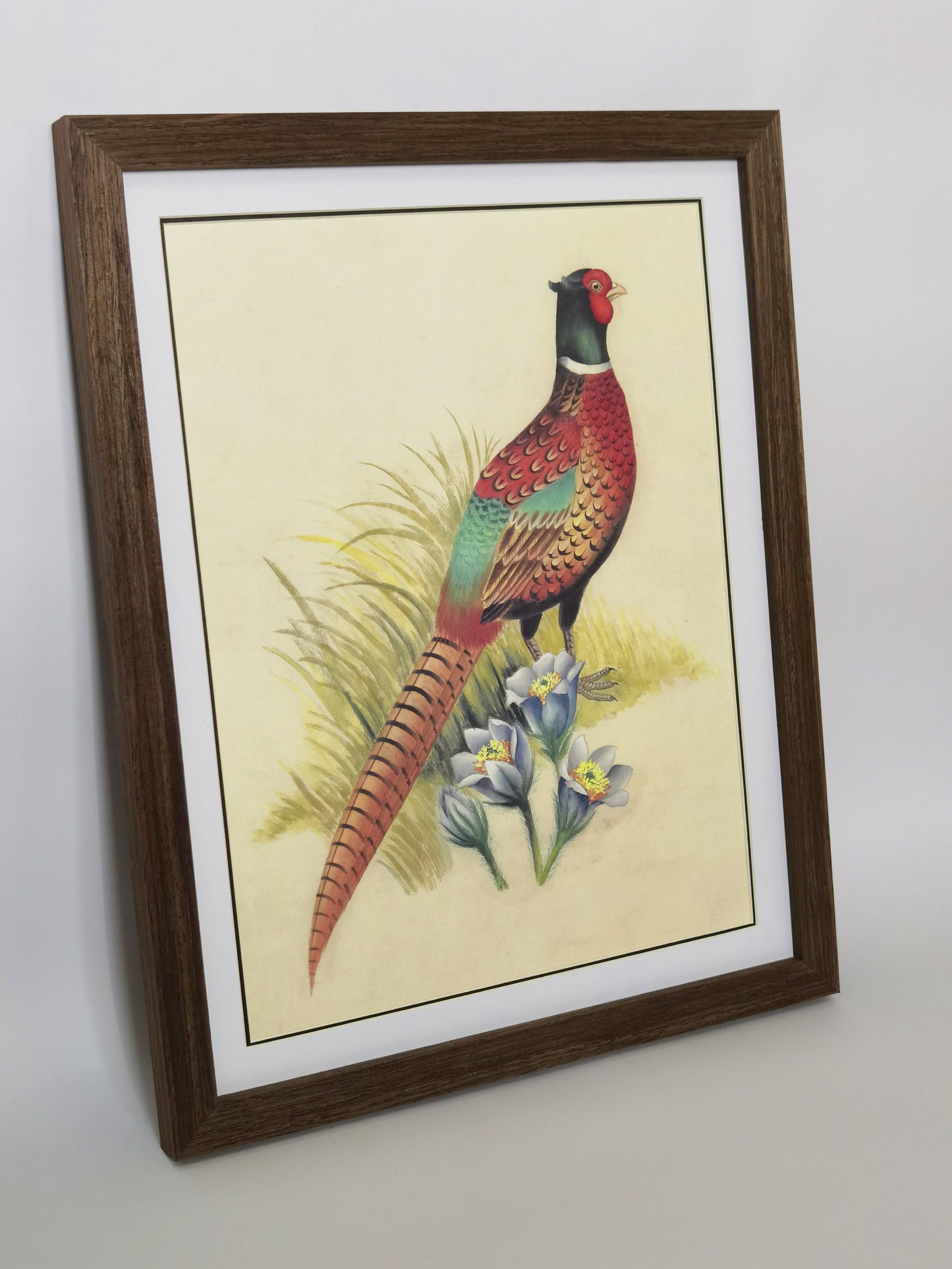 Ring-Necked Pheasant South Dakota Bird Handmade Painting Art Solid Wood Framed Poster Picture Print Artwork - Free Shipping