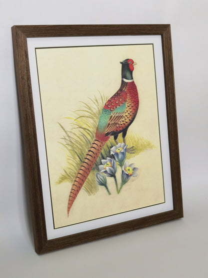 Ring-Necked Pheasant South Dakota Bird Handmade Painting Art Solid Wood Framed Poster Picture Print Artwork