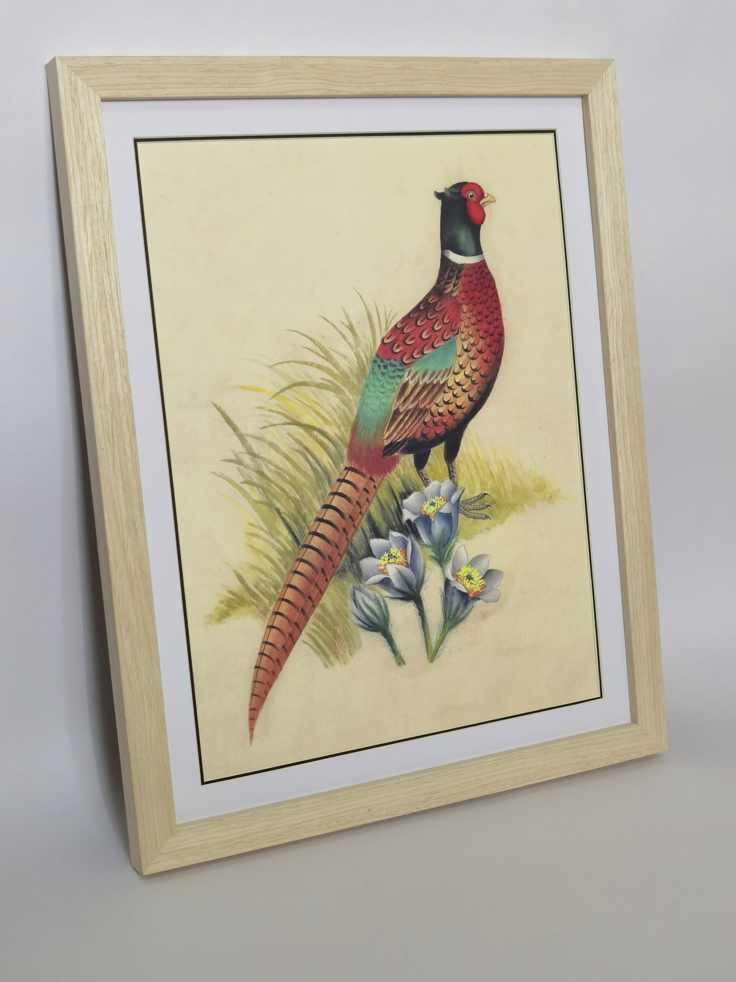 Ring-Necked Pheasant South Dakota Bird Handmade Painting Art Solid Wood Framed Poster Picture Print Artwork - Free Shipping