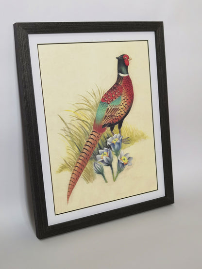 Ring-Necked Pheasant South Dakota Bird Handmade Painting Art Solid Wood Framed Poster Picture Print Artwork