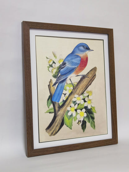 Eastern Bluebird Missouri State Bird Handmade Painting Art Solid Wood Framed Poster Picture Print Artwork