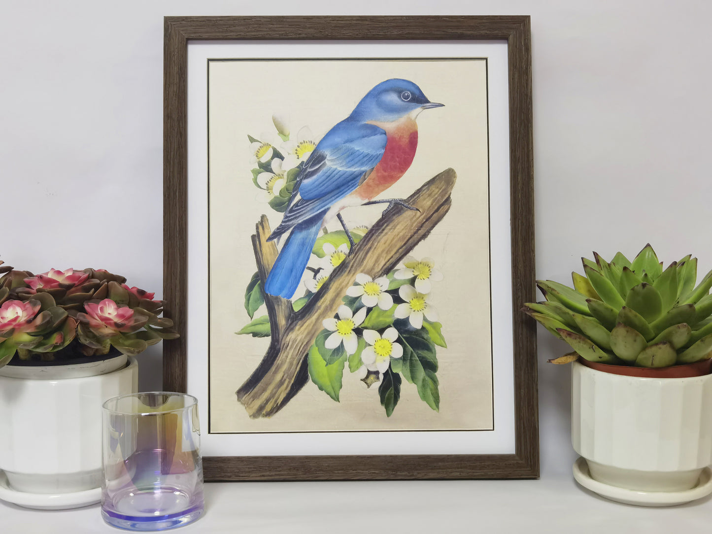 Eastern Bluebird Missouri State Bird Handmade Painting Art Solid Wood Framed Poster Picture Print Artwork - Free Shipping