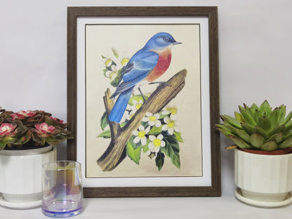 Eastern Bluebird Missouri State Bird Handmade Painting Art Solid Wood Framed Poster Picture Print Artwork