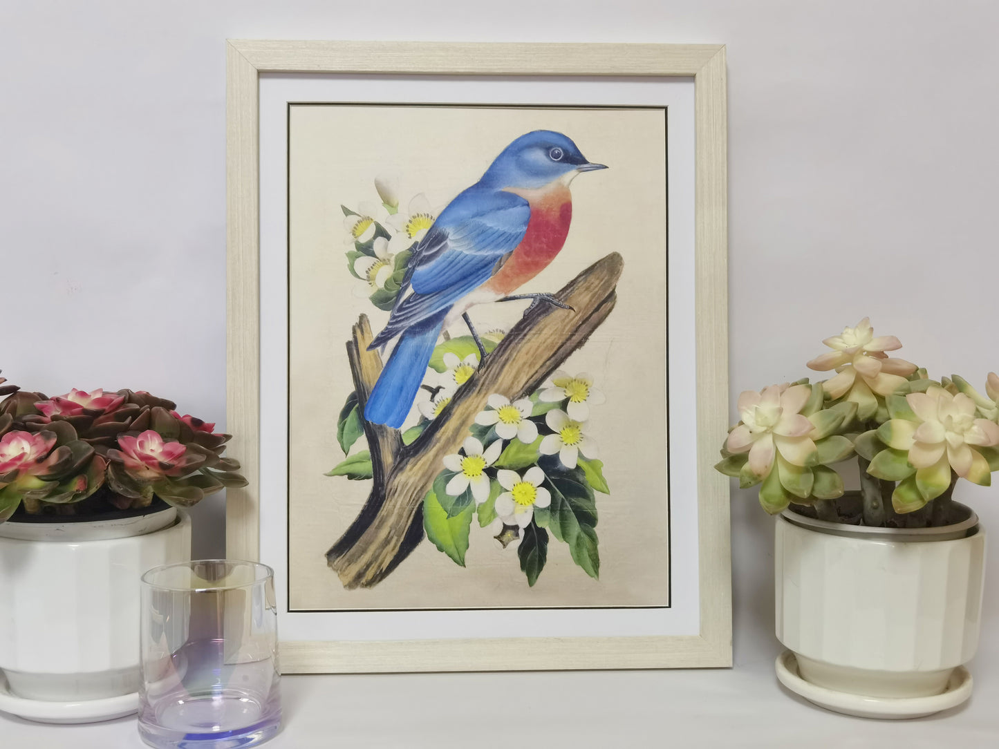 Eastern Bluebird Missouri State Bird Handmade Painting Art Solid Wood Framed Poster Picture Print Artwork - Free Shipping