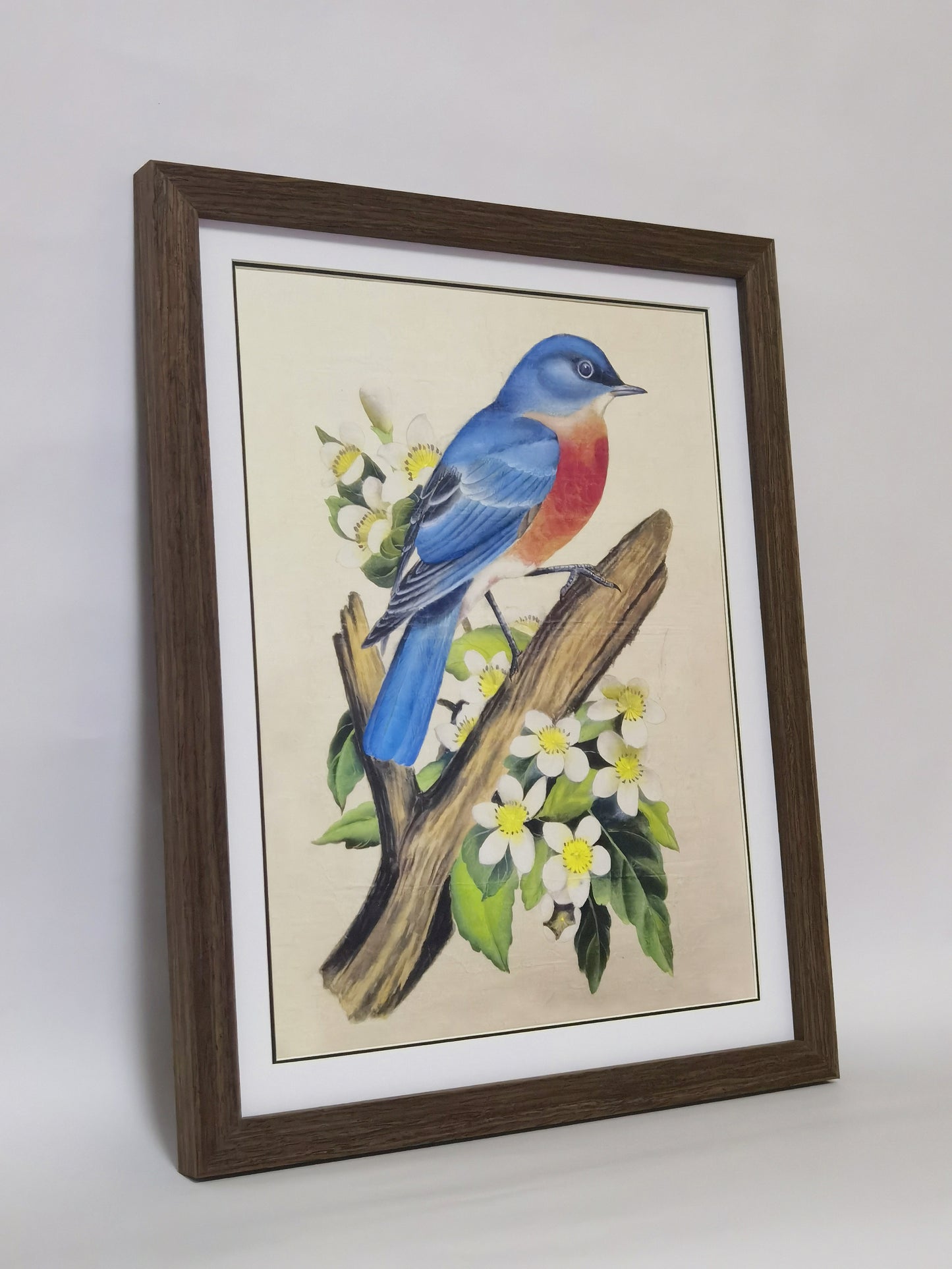 Eastern Bluebird Missouri State Bird Handmade Painting Art Solid Wood Framed Poster Picture Print Artwork - Free Shipping