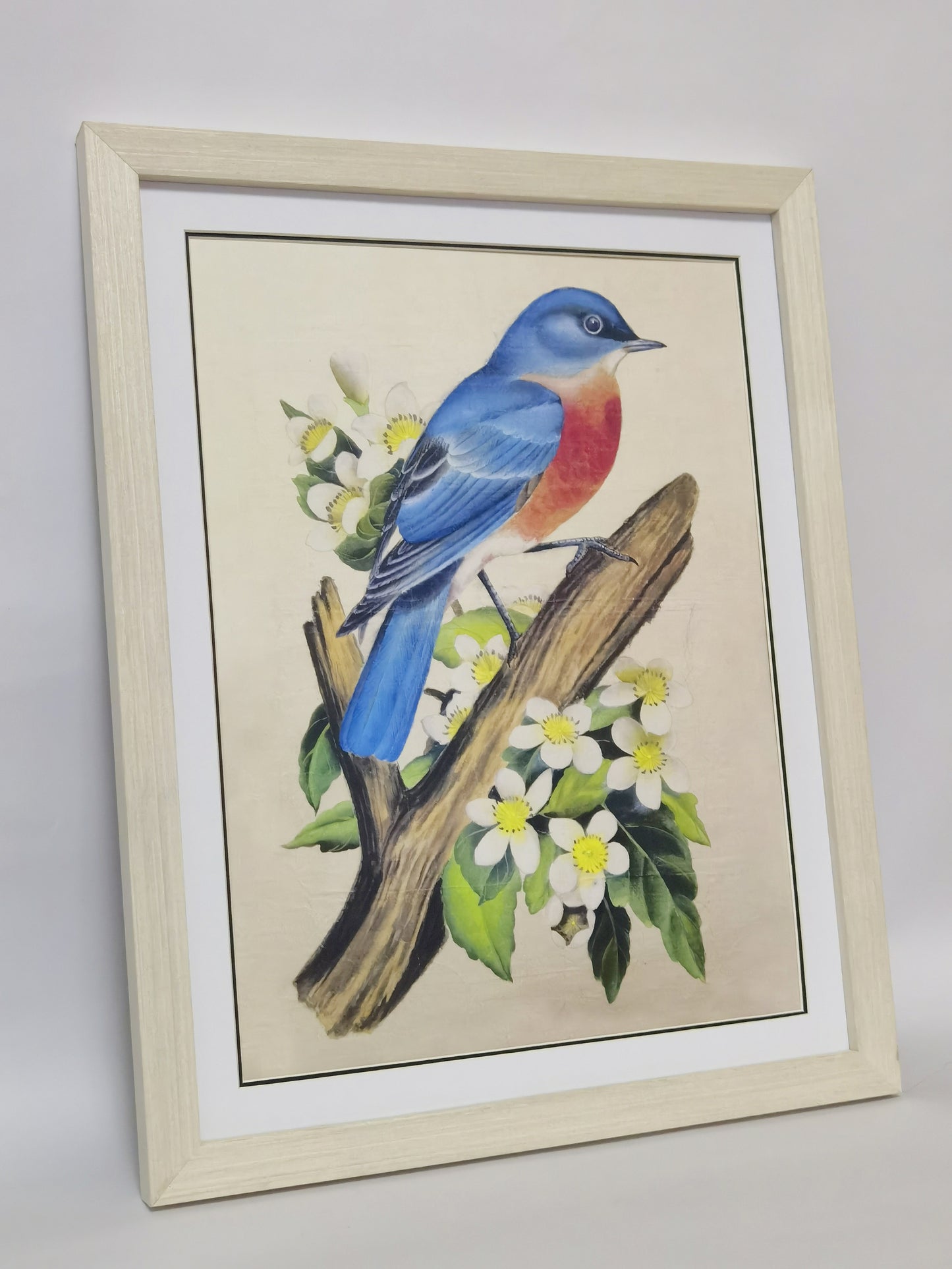 Eastern Bluebird Missouri State Bird Handmade Painting Art Solid Wood Framed Poster Picture Print Artwork - Free Shipping